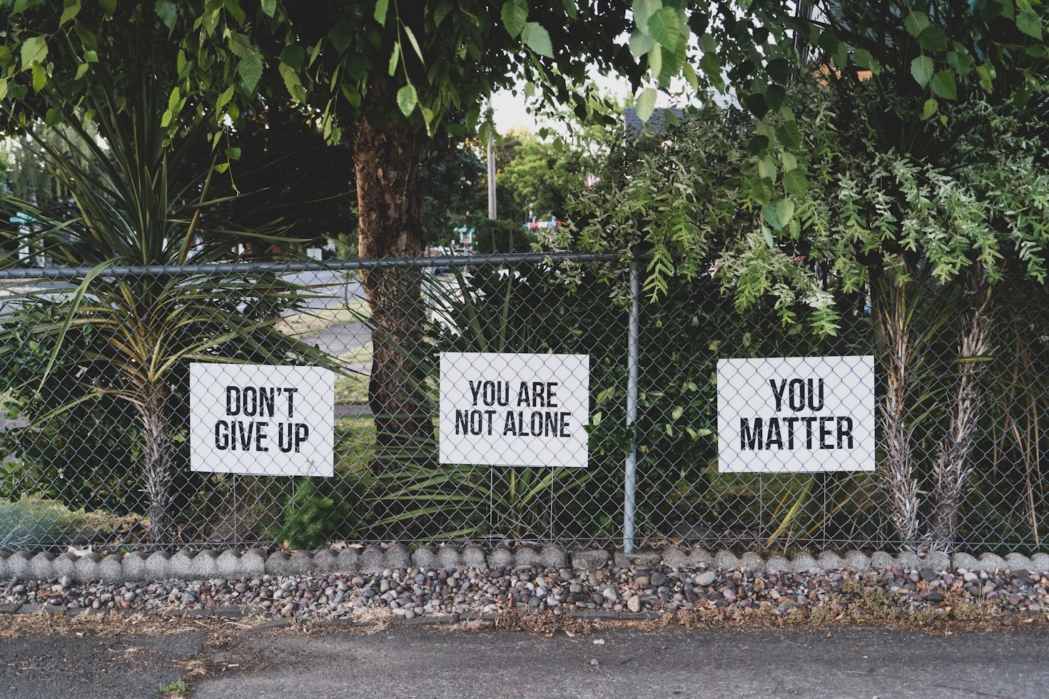 Exploring the Role of Self-Care in Mental Health