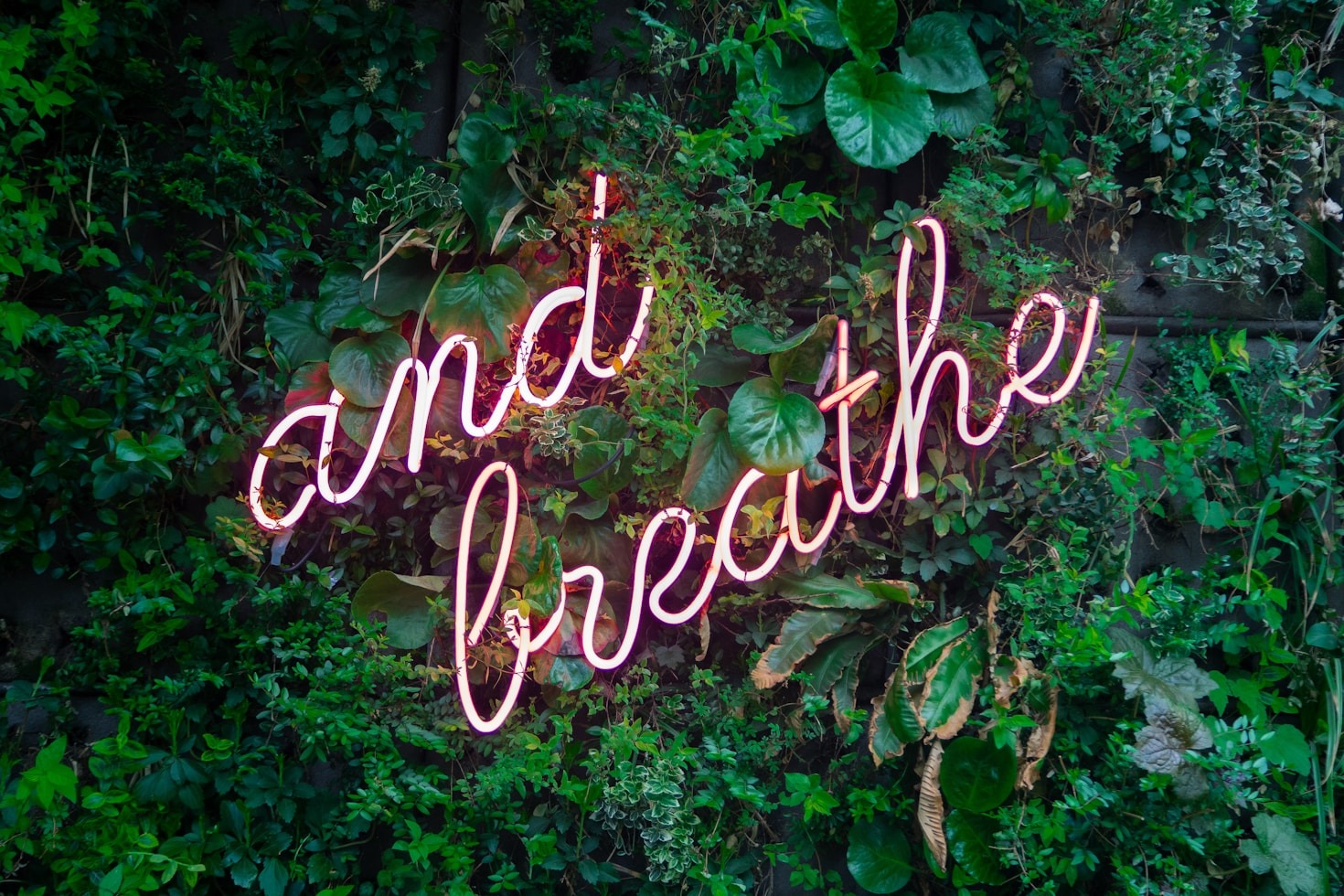 Empowering Yourself Through Mindful Practices